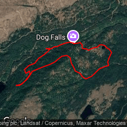 Glen Affric and Dog Falls