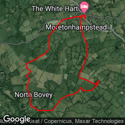Moretonhampstead dog walk