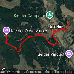 Kielder Forest