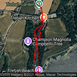 Trebah - again