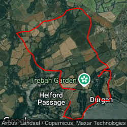 A new walk round Durgan and Trebah