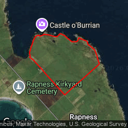Castle o'Burrian and puffins