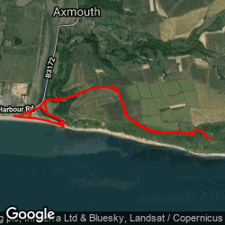 Axmouth and Lyme Regis Undercliff