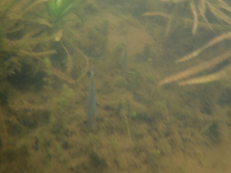 PA030549.JPG
