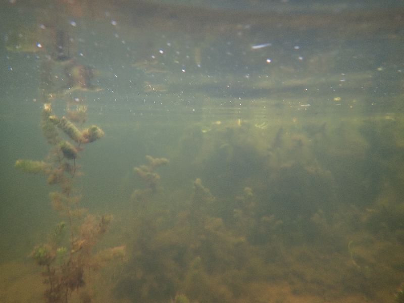 PA030556.JPG