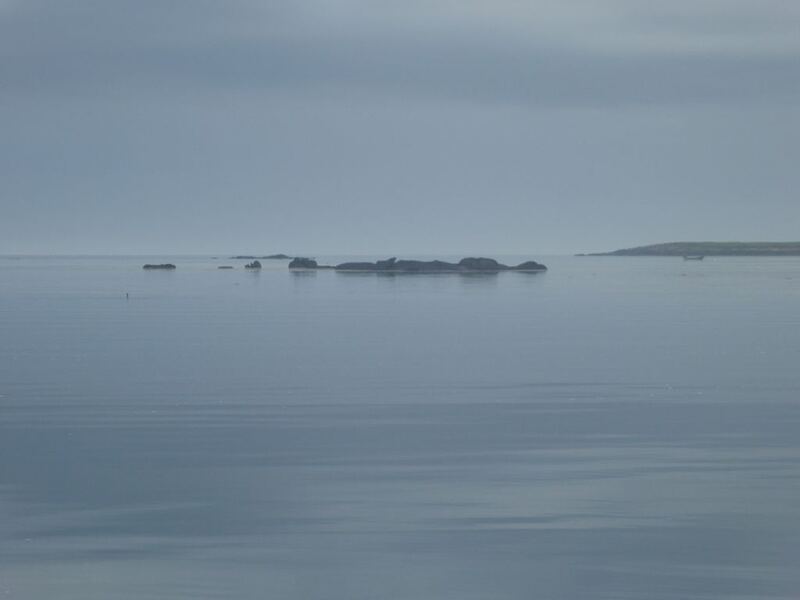 P1060037.JPG