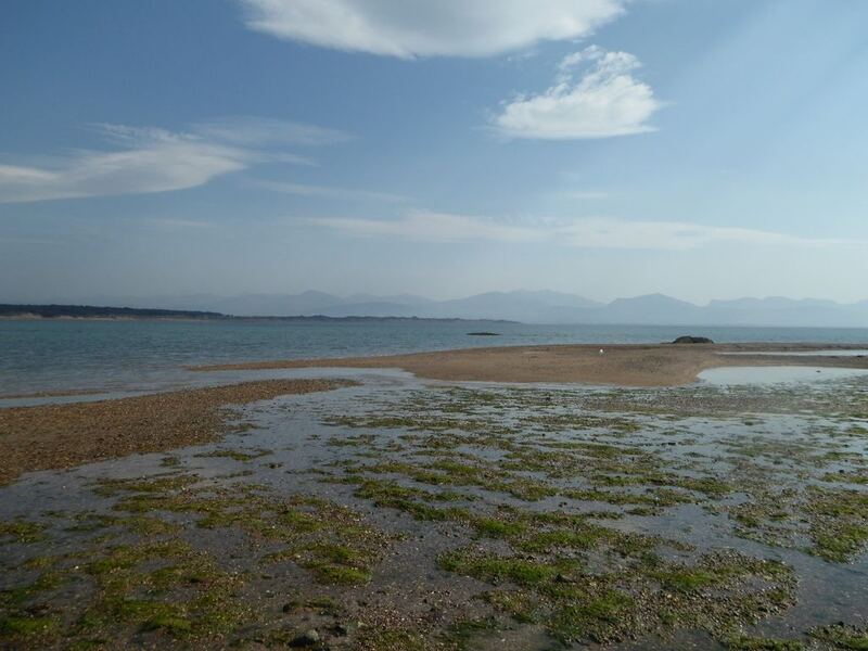 P1010910.JPG