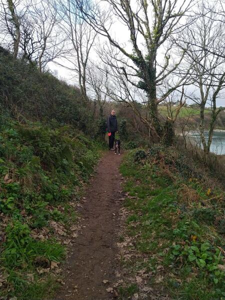 Maenporth to Rosemullion Head