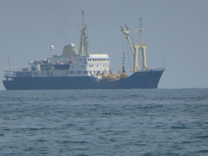 P1000993.JPG
