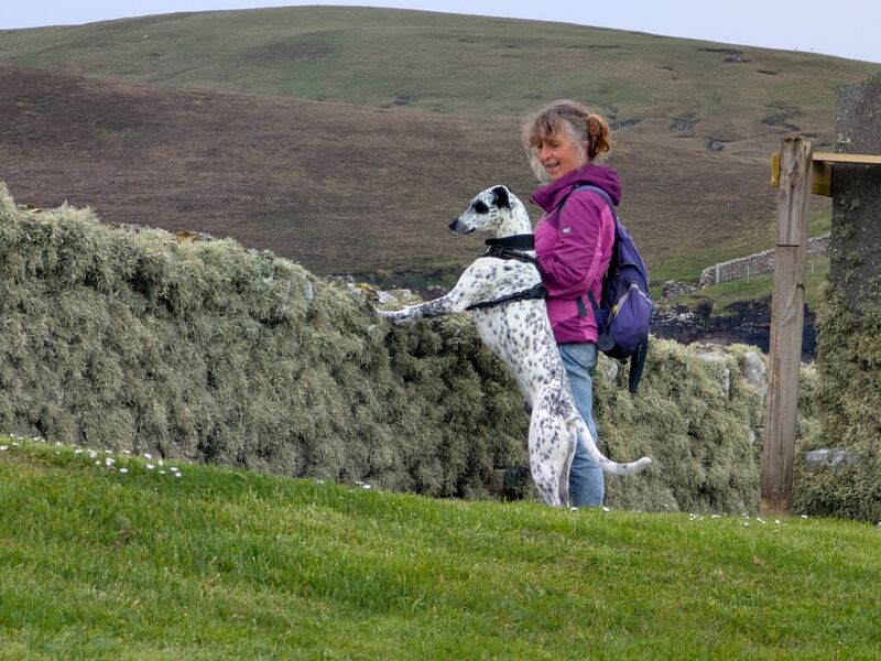Bressay campervan tour