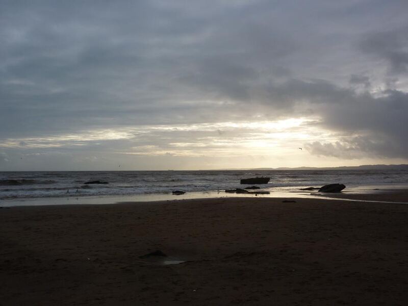Scooby new year beach walk