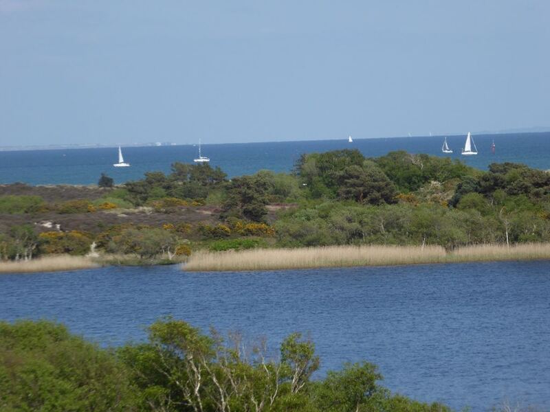 P1000857.JPG