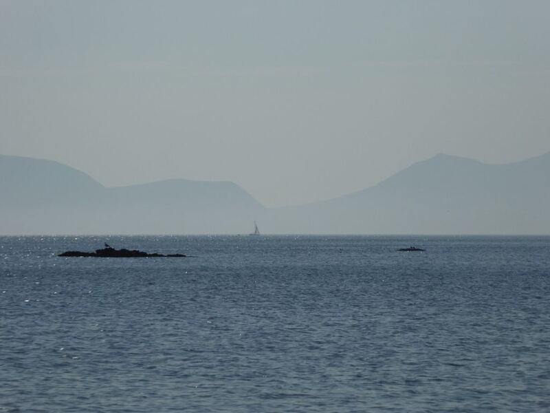 P1010906.JPG