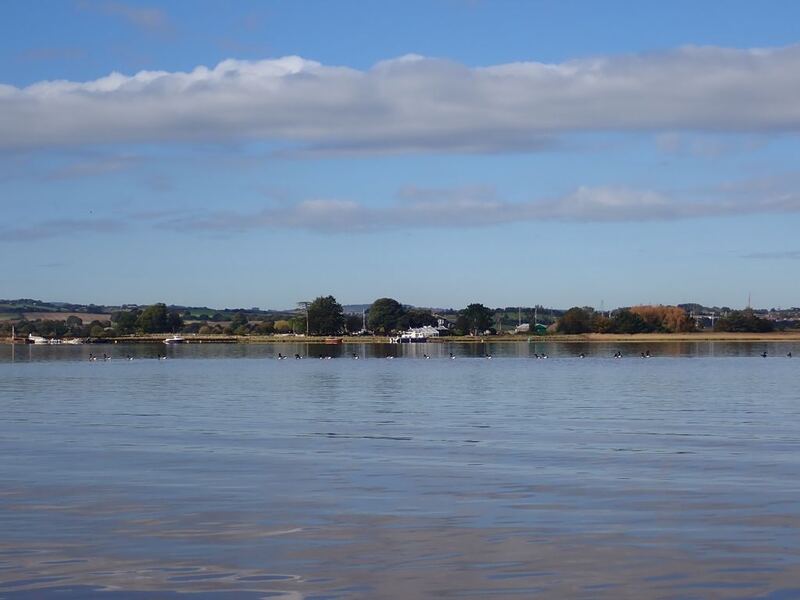 PA110554.JPG