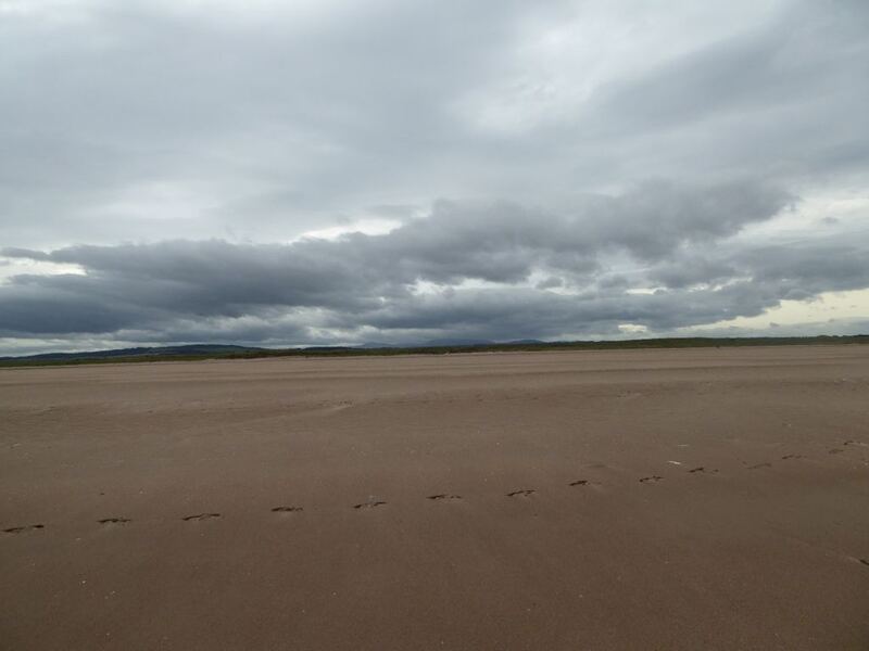 P1010803.JPG