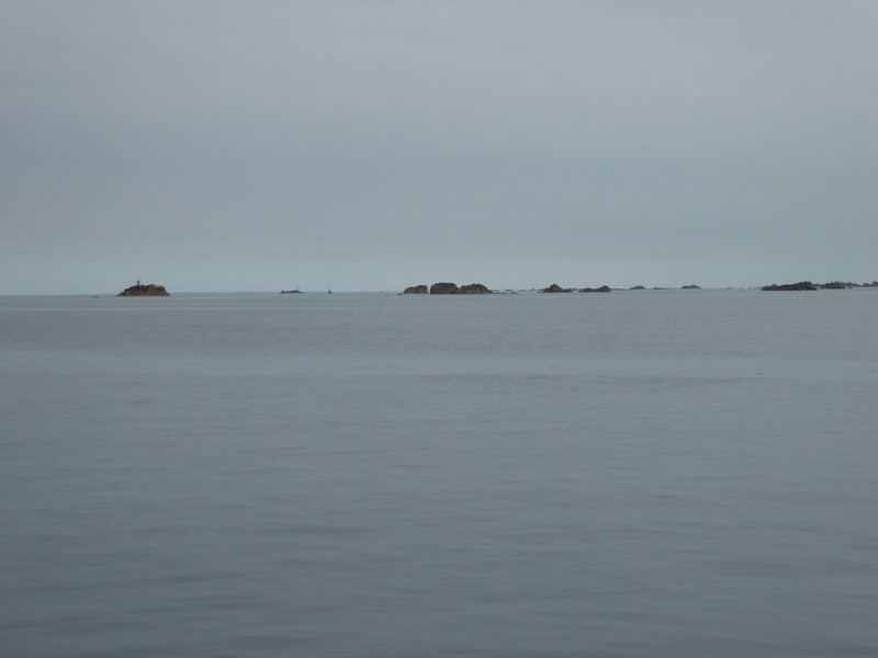 P1030412.JPG