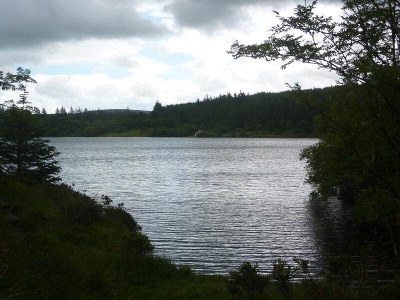 P1020016.JPG