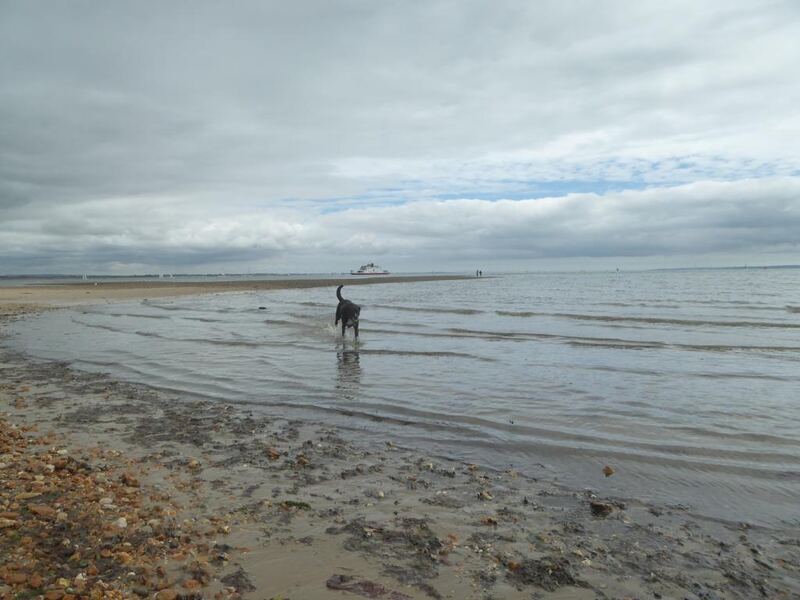 Calshot