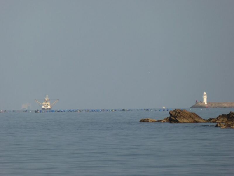 P1000347.JPG