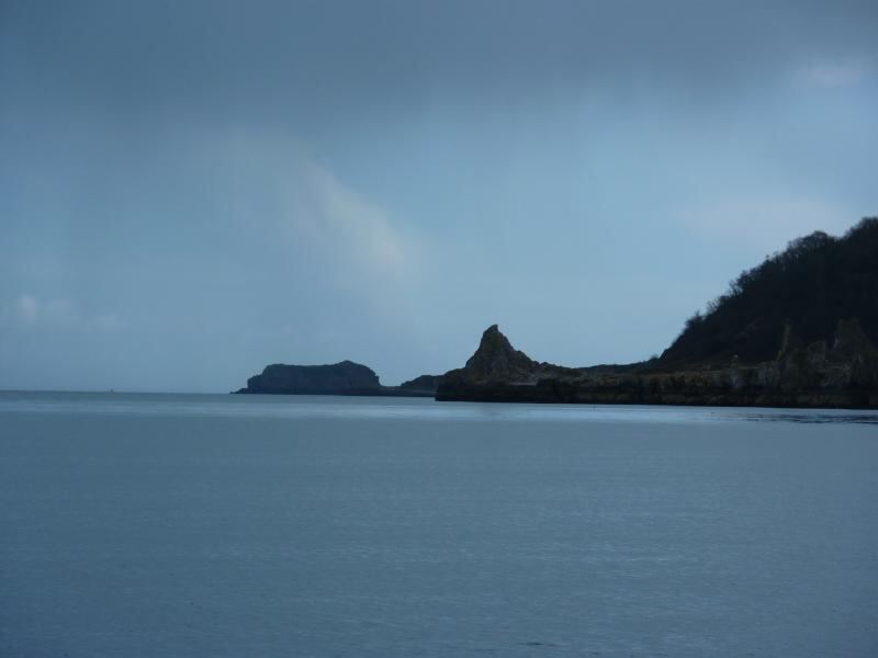 P1010511.JPG