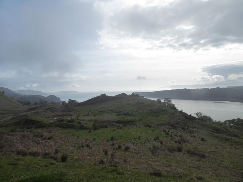 P1130031.JPG