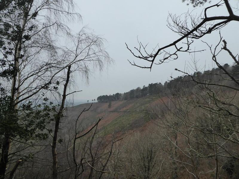 P1120441.JPG