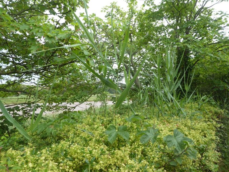 P1090787.JPG