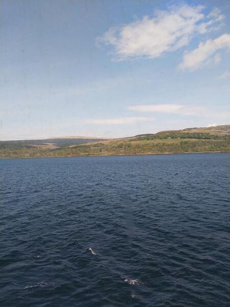 IMG_20220508_141828.jpg