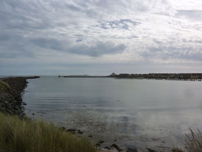 P1060370.JPG