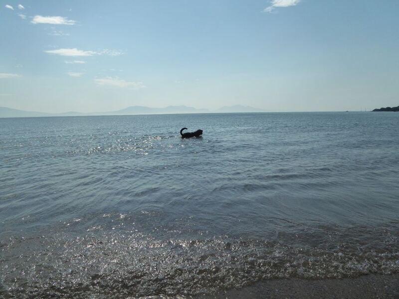 P1010901.JPG