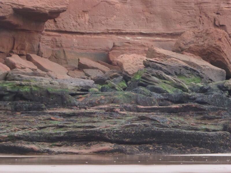 Exmouth beach walk