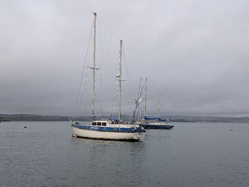 PXL_20261015_092315979.jpg