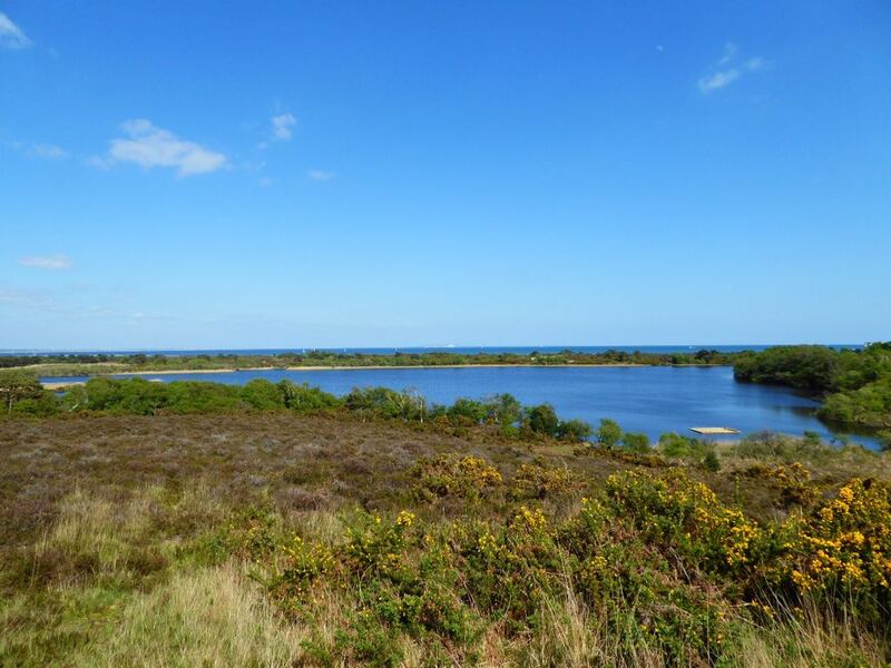 P1000853.JPG