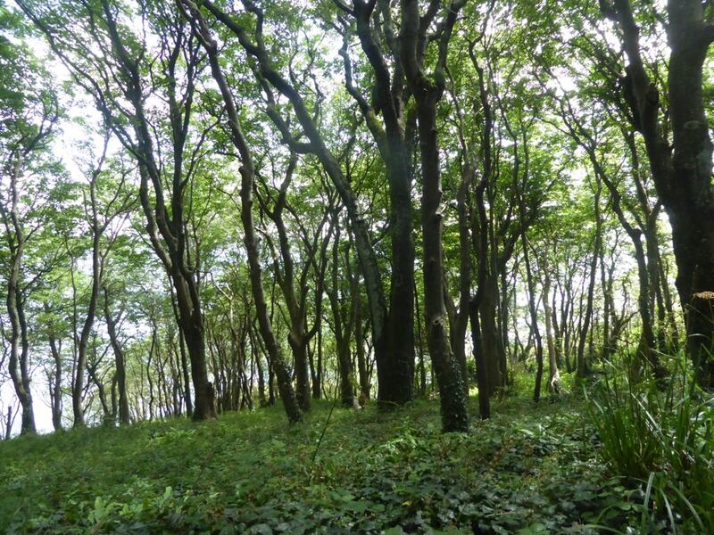 P1090870.JPG