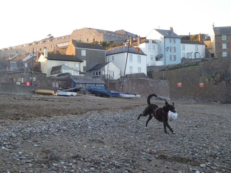 P1020949.JPG