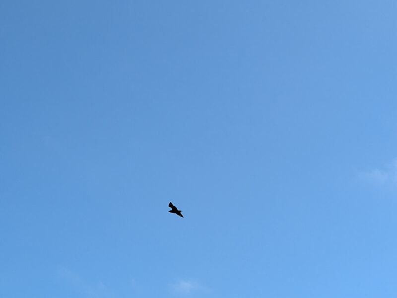 PXL_20260528_120333258.jpg