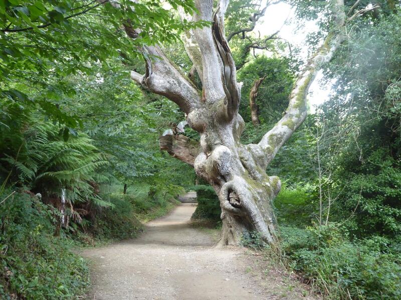 P1150550.JPG