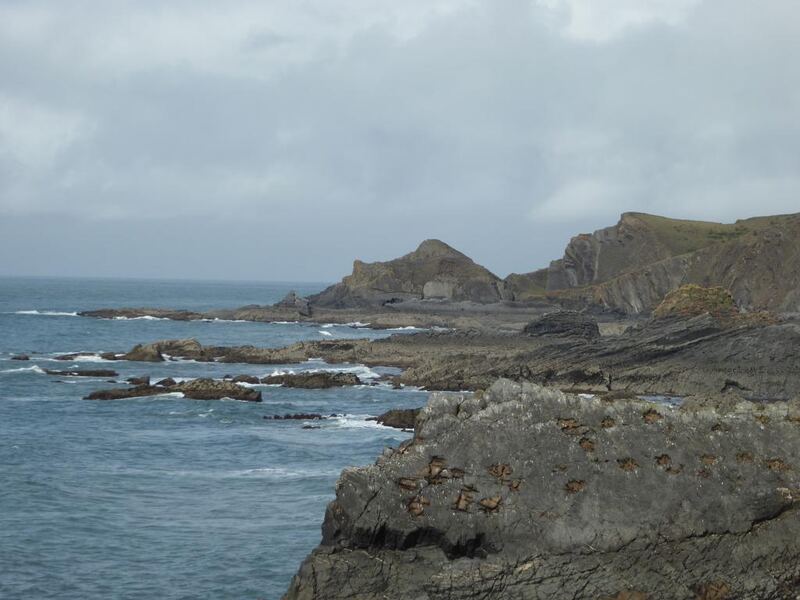 P1120243.JPG