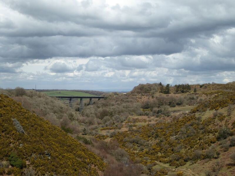 P1000573.JPG