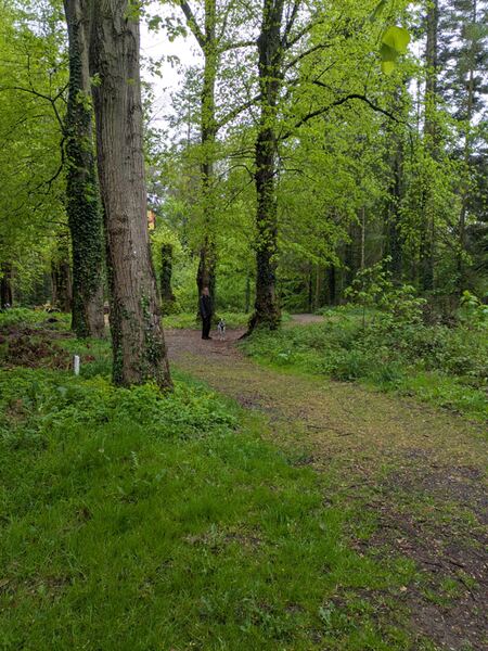 PXL_20260503_082036688.jpg