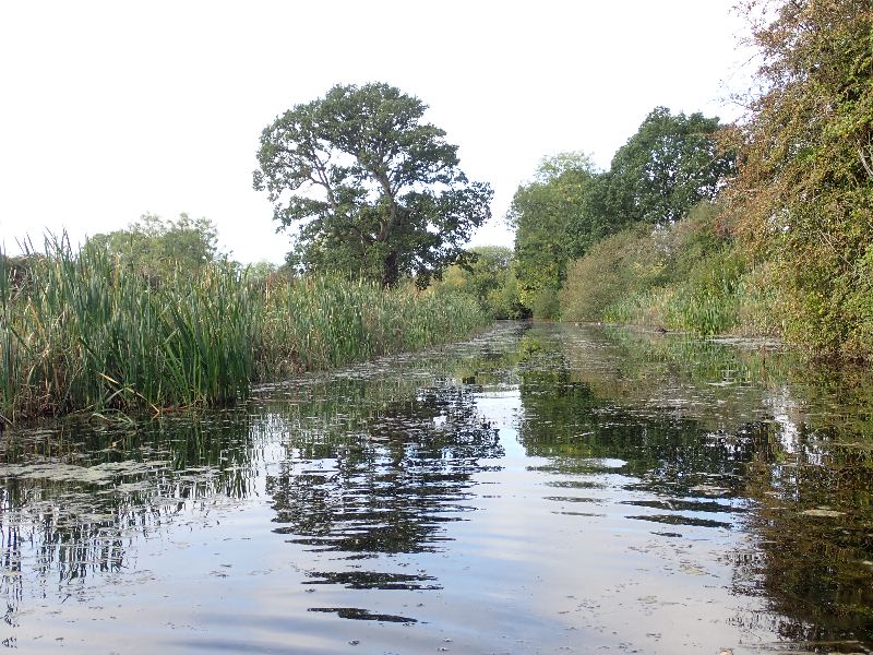 PA030460.JPG