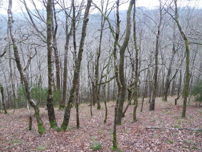 P1120448.JPG