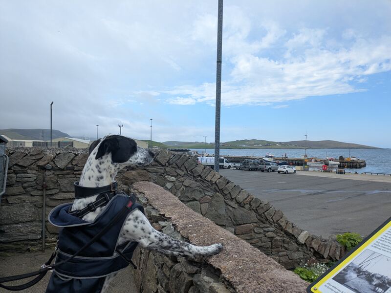 Scalloway