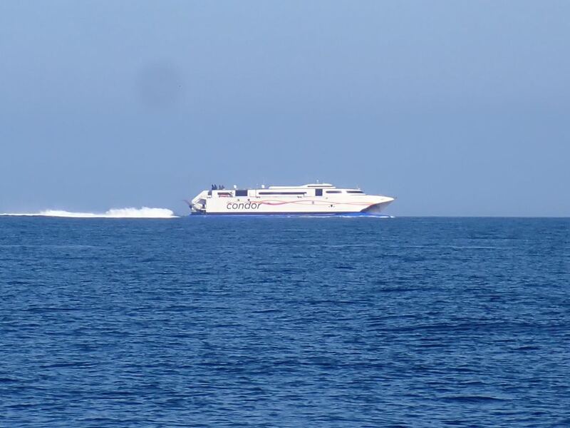 P5020117.JPG