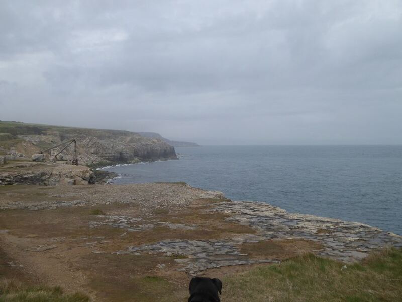 P1050420.JPG