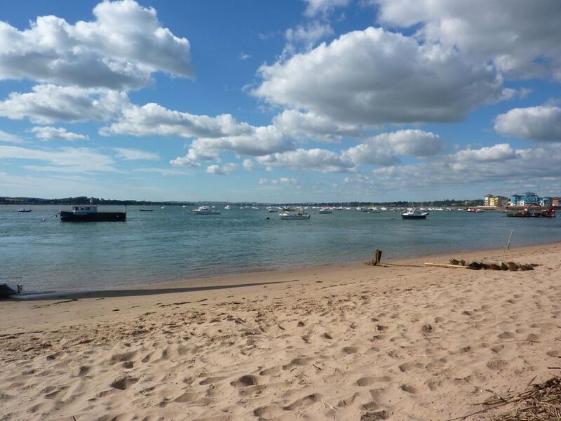 Darting about in light winds