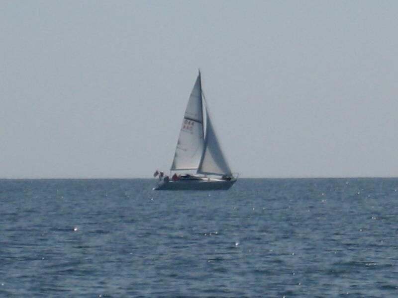 Drew Trophy yacht race
