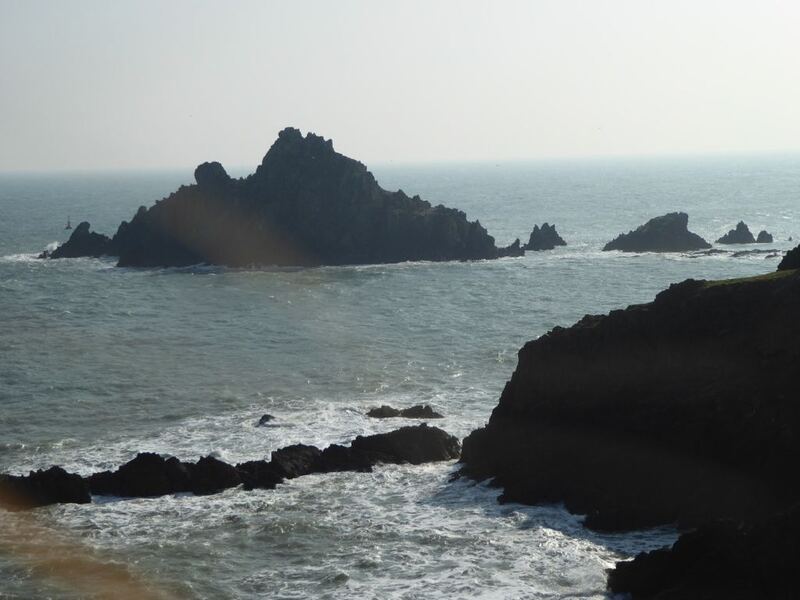 P1000269.JPG