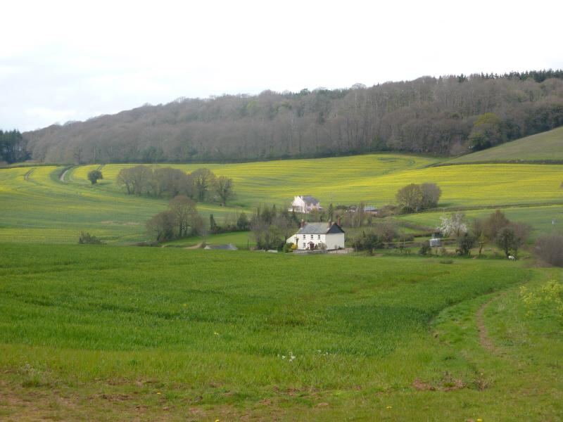 P1010437.JPG