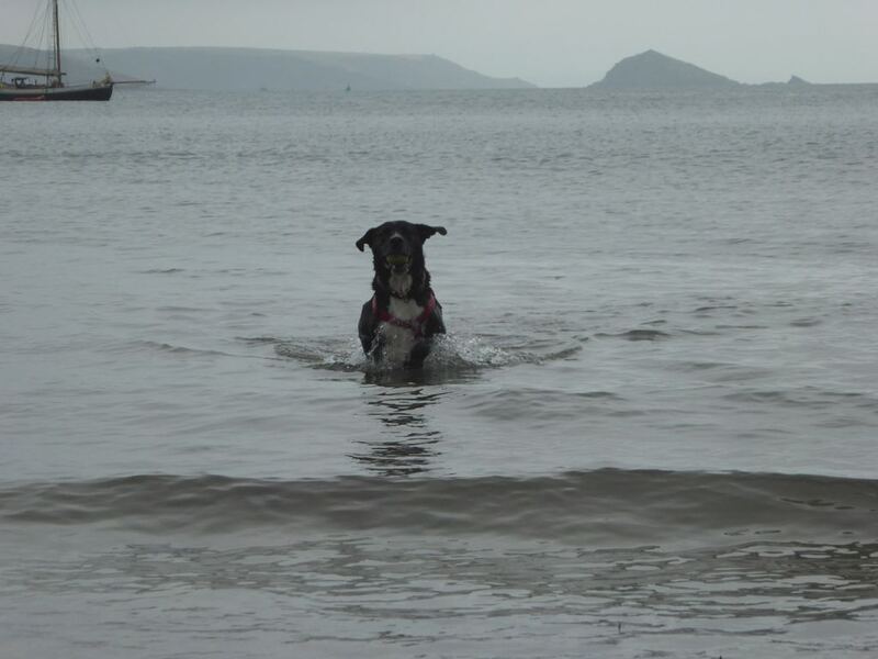 Maker and Cawsand